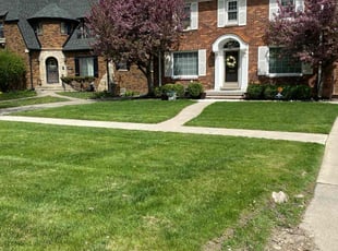 Laurence W.'s Grass Cutting service result