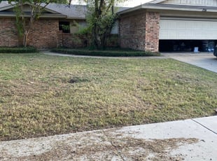 Leaf Removal by Quentin Morgan for Meghan S. in Lewisville, TX
