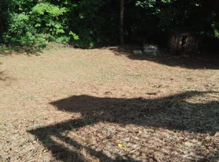 Cleanups by Gerald Oyerindr for Daniela T. in Chamblee, GA