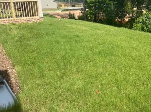 Scott M.'s Lawn Service service result
