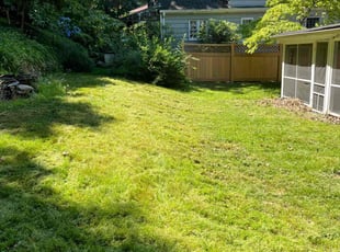 Amy G.'s Lawn Mowing Service service result