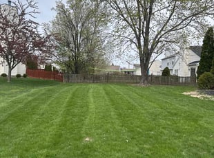 Artamease G.'s Grass Cutting service result
