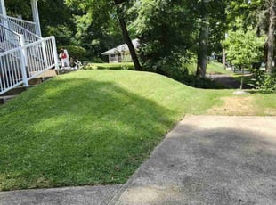 Tina A.'s Lawn Service service result