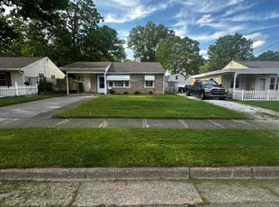 Mike M.'s Lawn Mowing service result