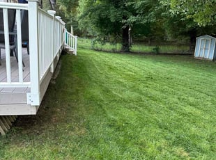 Carmi B.'s Lawn Mowing service result