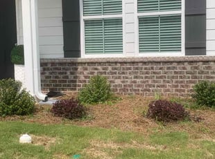 Bush Trimming by Carmie Chisolm for Bee H. in Jackson, GA