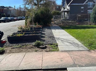 Leaf Removal by Junior Hernandez for William W. in Denver, CO