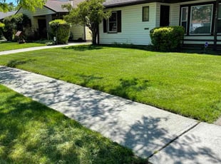 Steve J.'s Yard Cutting service result