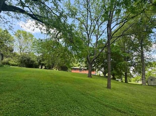 Yolanda A.'s Lawn Mowing Service service result