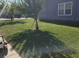 Aaron G.'s Yard Cutting service result