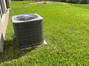 Michael B.'s Lawn Mowing service result