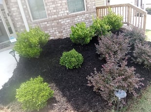 Mulching by Patrick Thompson for Junelle C. in Buford, GA