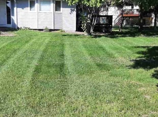 Hailey W.'s Lawn Care service result