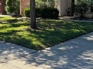 Tammy S.'s Grass Cutting service result