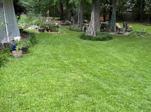 Justyn R.'s Lawn Service service result
