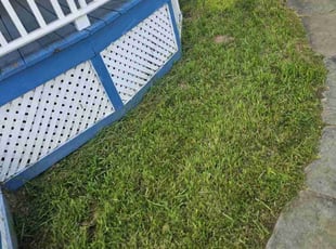 Susan B.'s Lawn Service service result