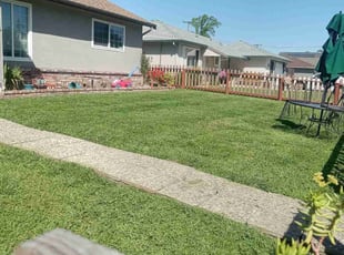 Christina R.'s Lawn Care service result