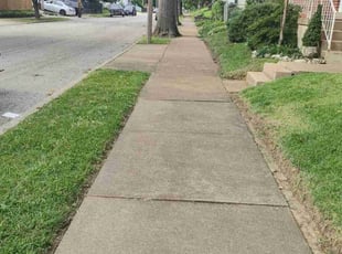 Sherman W.'s Lawn Care service result