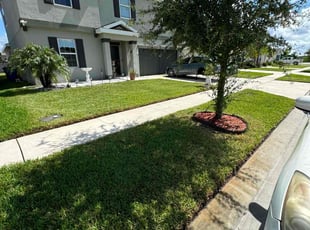 Jeanette C.'s Lawn Service service result