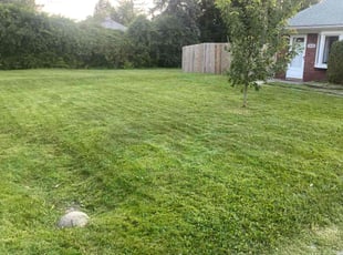 Sara C.'s Lawn Care service result