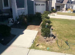 Bush Trimming by Adams Paiz for Douglas A. in Charlotte, NC