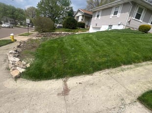 Amber P.'s Lawn Maintenance service result