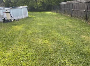 Wendell H.'s Lawn Mowing Service service result
