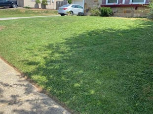 John R.'s Lawn Care service result