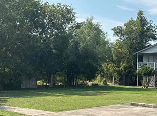 Kebin S.'s Lawn Care service result