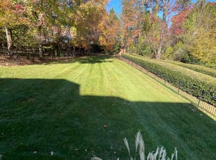 Neel L.'s Lawn Mowing service result