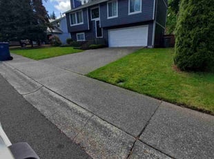 Helen M.'s Lawn Mowing service result