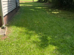 Samantha P.'s Lawn Mowing Service service result