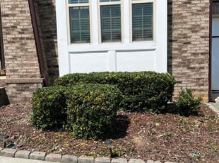 Bush Trimming by Phillip StPreuve for Wilson C. in Lawrenceville, GA