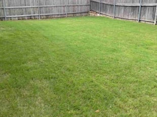 Dominique A.'s Lawn Mowing Service service result