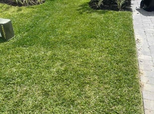 Steve W.'s Lawn Care service result