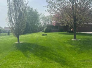 Matthew M.'s Yard Cutting service result