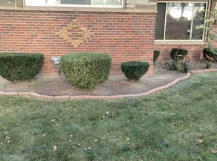 Weeding by Gerald Rowe for Nikhol A. in Oak Park, MI
