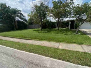 Chris C.'s Yard Cutting service result