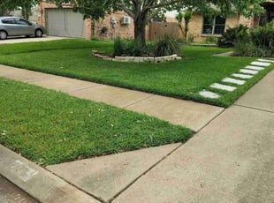 Nayyar A.'s Lawn Mowing Service service result
