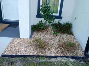 Weeding by Carlin Howard for Sommer H. in Marion County, FL