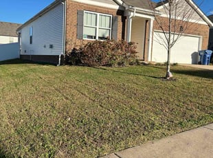 Cassandra M.'s Grass Cutting service result