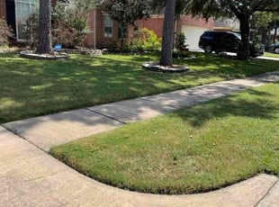 Amy R.'s Lawn Mowing service result