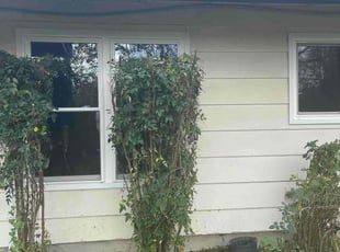 Bush Trimming by Joseph Adames for Cheryl C. in Austin, TX