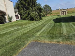 David D.'s Lawn Mowing service result