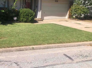 Kevin J.'s Grass Cutting service result
