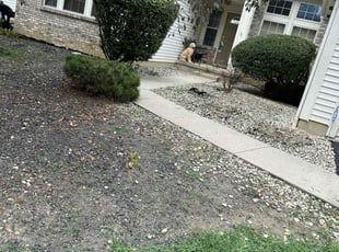 Weeding by Leonardo Feliciano for Deborah H. in Lewis Center, OH