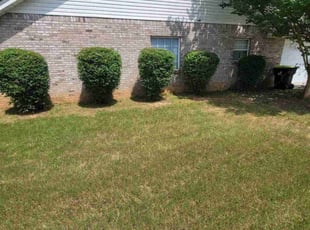 Bush Trimming by Champ Carnes for Marguerite B. in Fayetteville, GA