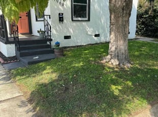 Frank T.'s Lawn Mowing Service service result