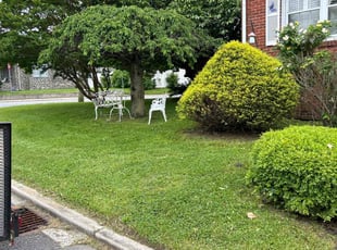 Meaghan W.'s Lawn Service service result