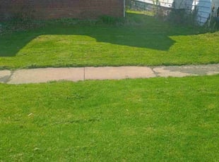 Annesia B.'s Grass Cutting service result